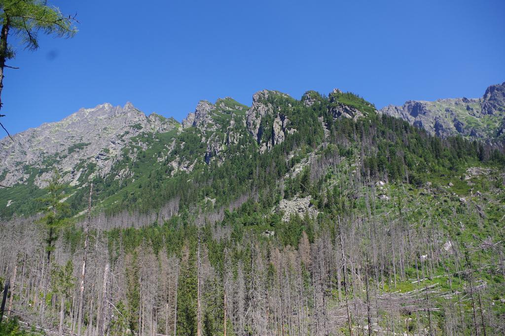 Studio Livia Vysoké Tatry Exteriér fotografie